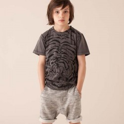 SOFT GALLERY - Ashton Tiger Explosion Tee