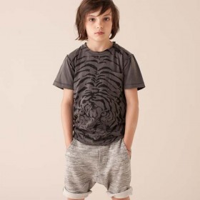 6A - Soft Gallery T Shirt Ashton Tiger Explosion