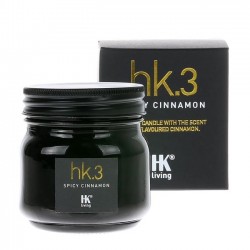 glass soy candle "spicy cinnamon" - HK Living