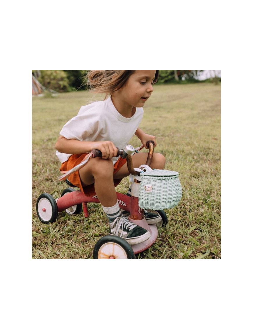 mini chari