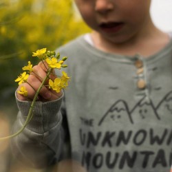 4/5 - Bobo choses t-shirt "the unknow mountain journey"