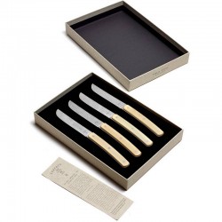 Coffret de 4 couteaux à steak Surface / Serax